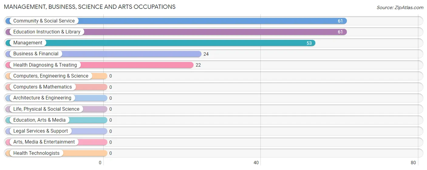 Management, Business, Science and Arts Occupations in Zip Code 36786