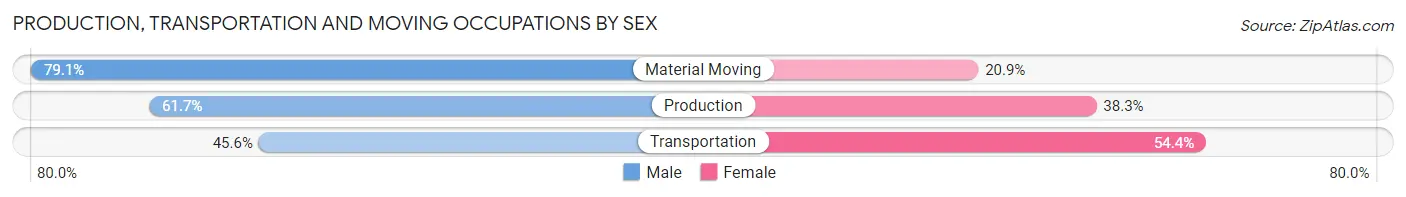 Production, Transportation and Moving Occupations by Sex in Zip Code 36801
