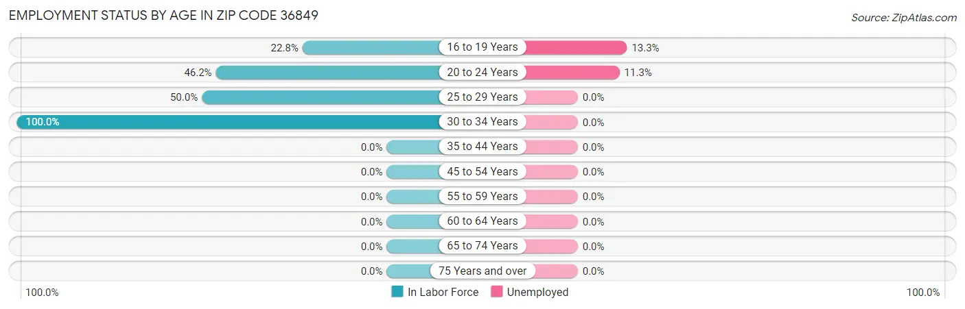 Employment Status by Age in Zip Code 36849