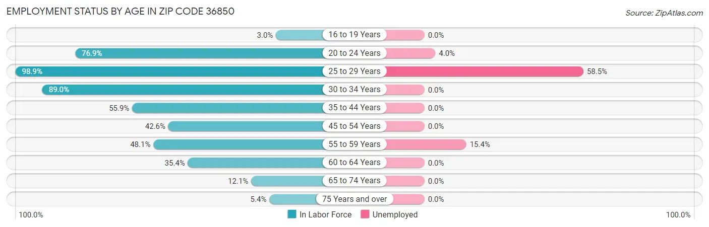 Employment Status by Age in Zip Code 36850