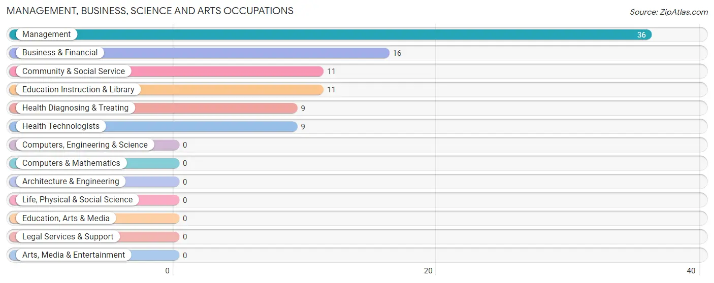 Management, Business, Science and Arts Occupations in Zip Code 36871