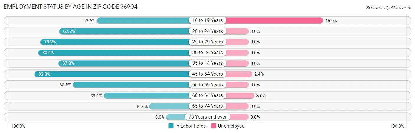 Employment Status by Age in Zip Code 36904