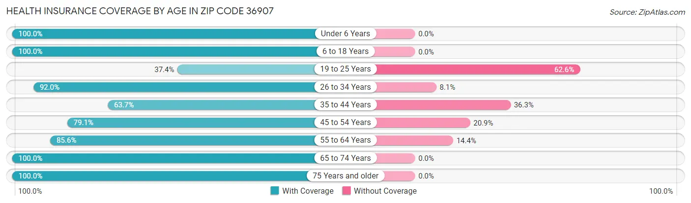 Health Insurance Coverage by Age in Zip Code 36907