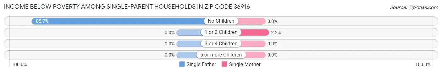 Income Below Poverty Among Single-Parent Households in Zip Code 36916