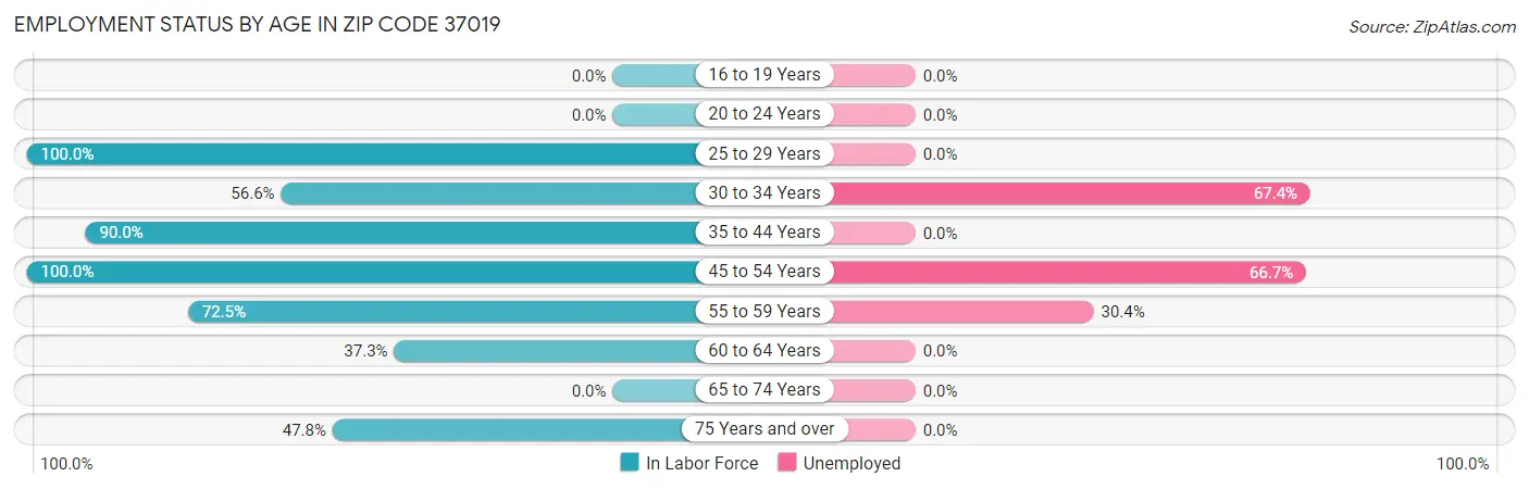 Employment Status by Age in Zip Code 37019