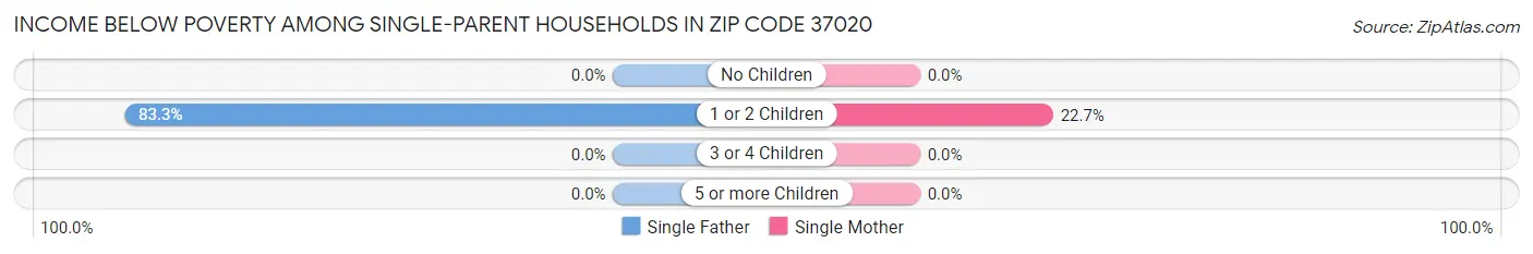 Income Below Poverty Among Single-Parent Households in Zip Code 37020
