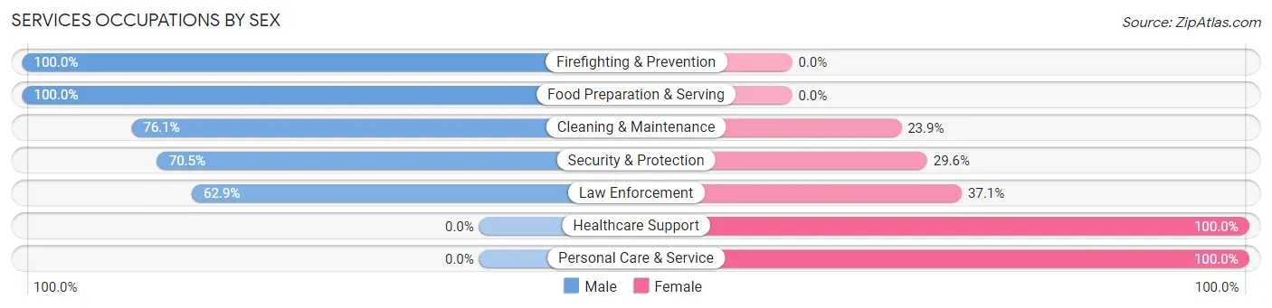 Services Occupations by Sex in Zip Code 37022