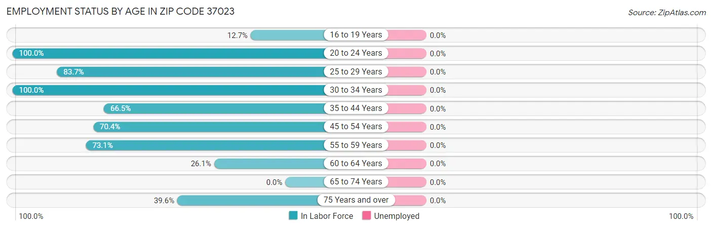 Employment Status by Age in Zip Code 37023