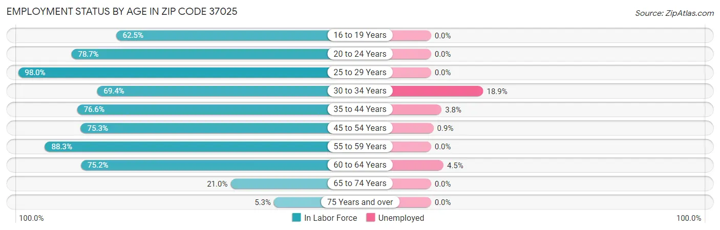 Employment Status by Age in Zip Code 37025
