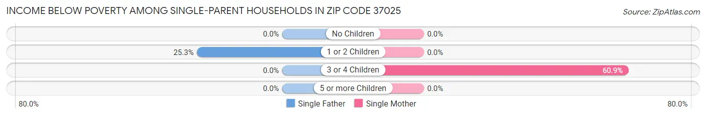 Income Below Poverty Among Single-Parent Households in Zip Code 37025