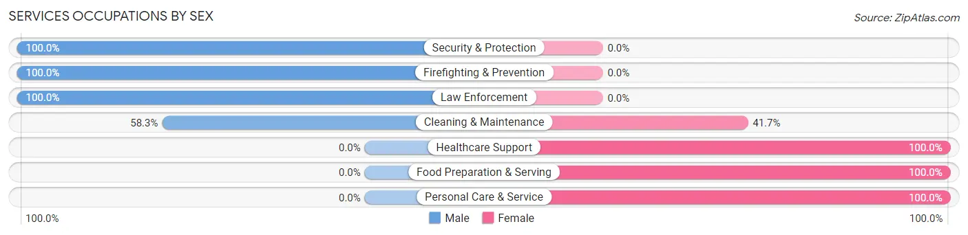 Services Occupations by Sex in Zip Code 37025