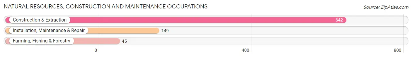 Natural Resources, Construction and Maintenance Occupations in Zip Code 37027