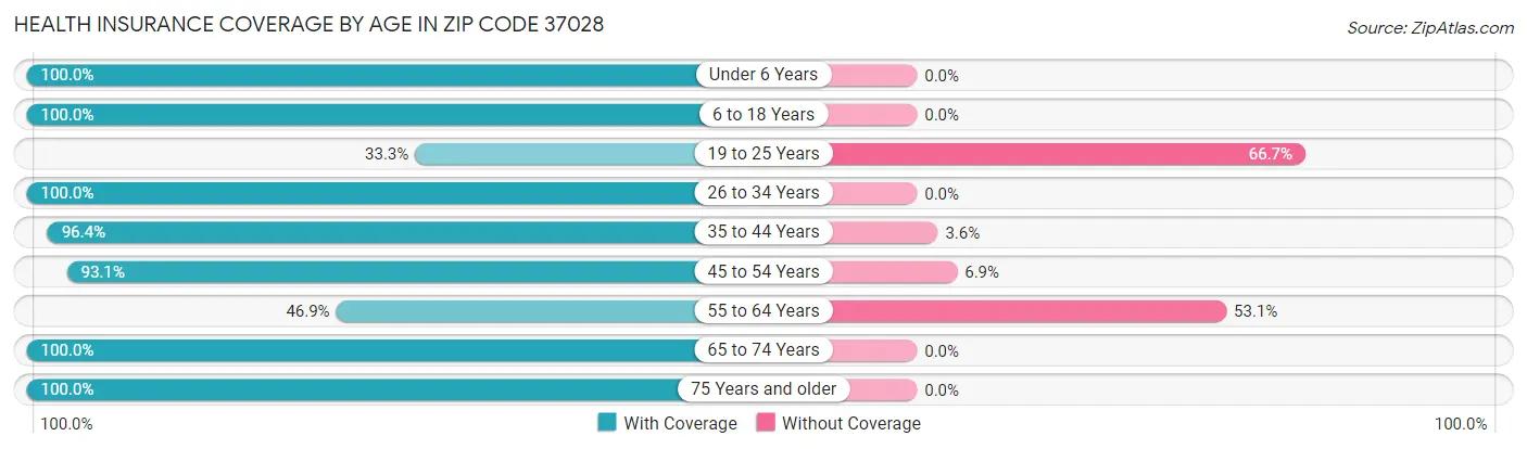 Health Insurance Coverage by Age in Zip Code 37028