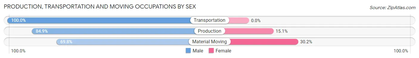 Production, Transportation and Moving Occupations by Sex in Zip Code 37029