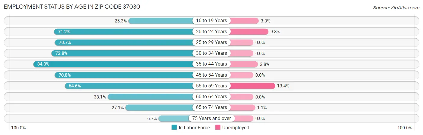 Employment Status by Age in Zip Code 37030