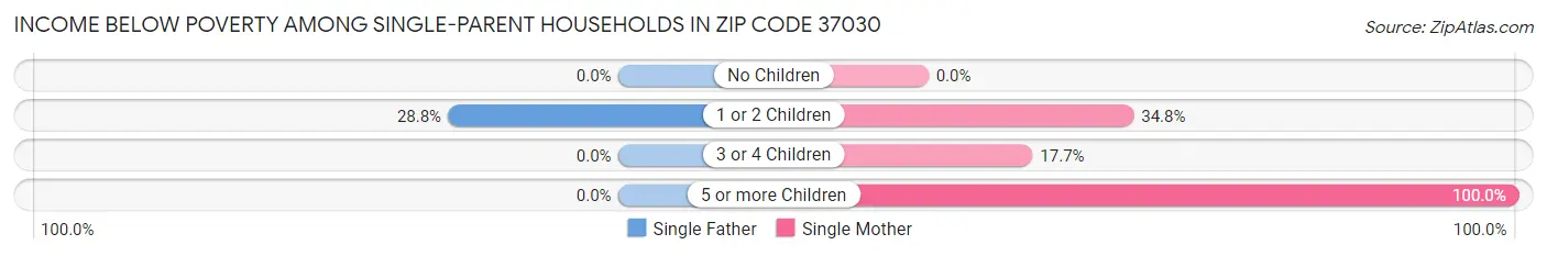 Income Below Poverty Among Single-Parent Households in Zip Code 37030