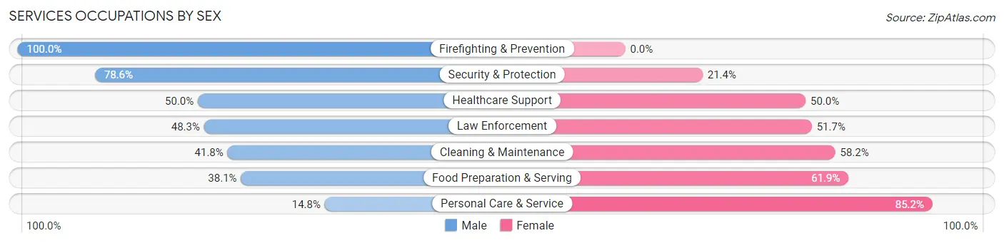 Services Occupations by Sex in Zip Code 37030