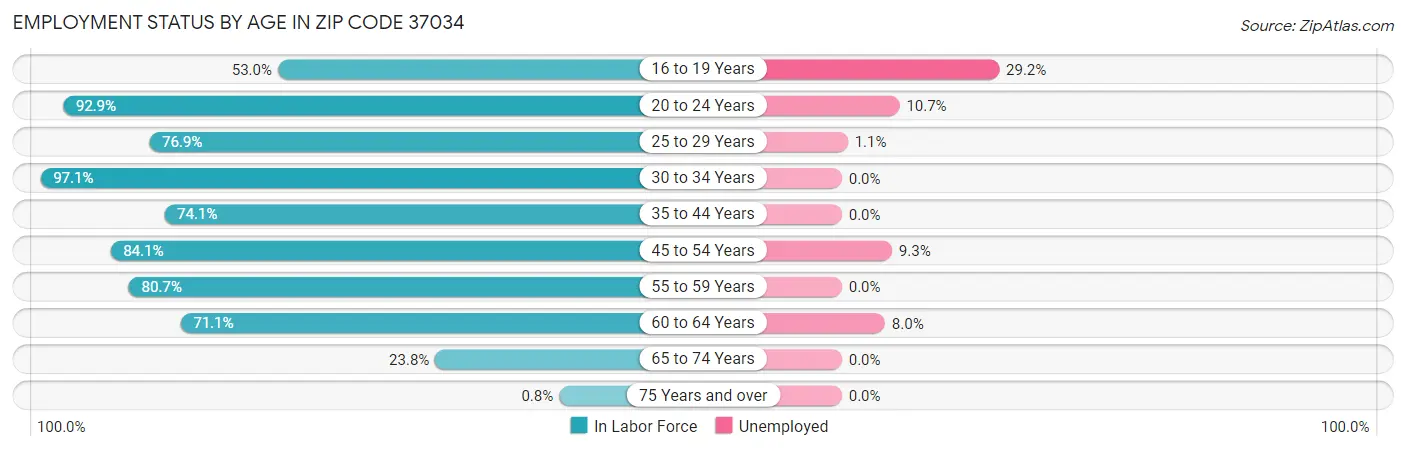 Employment Status by Age in Zip Code 37034