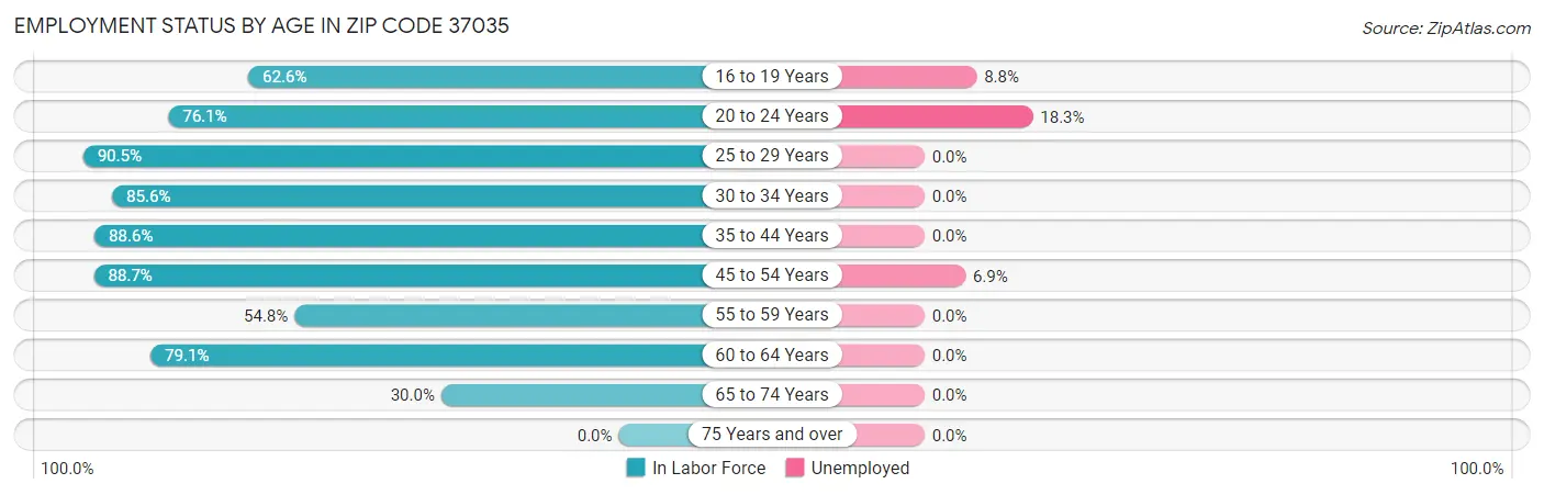Employment Status by Age in Zip Code 37035
