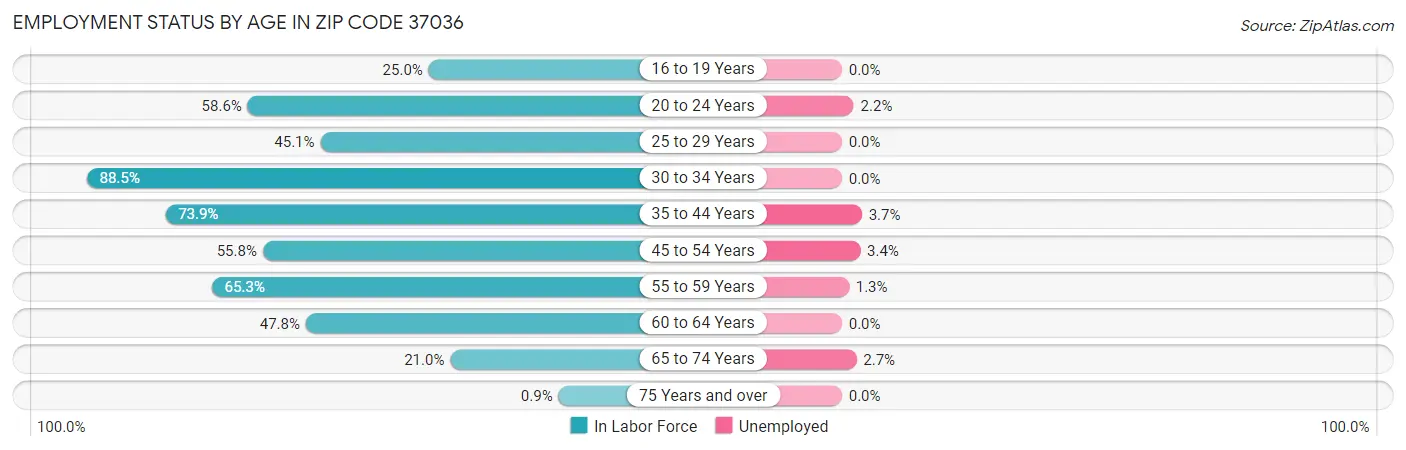 Employment Status by Age in Zip Code 37036