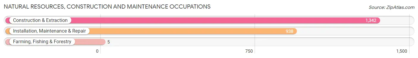 Natural Resources, Construction and Maintenance Occupations in Zip Code 37040