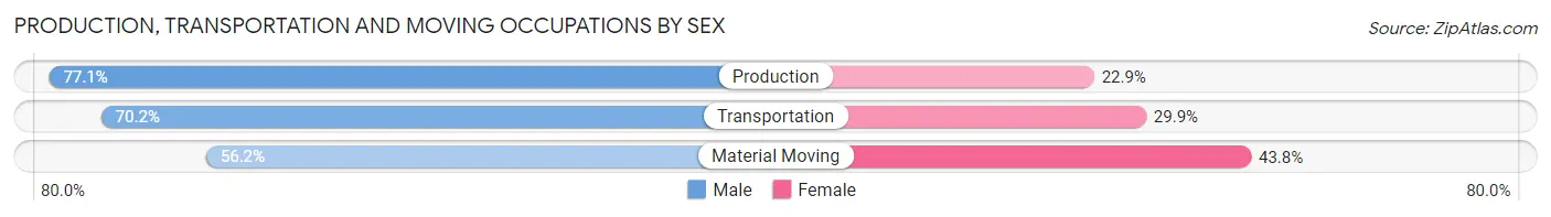 Production, Transportation and Moving Occupations by Sex in Zip Code 37040