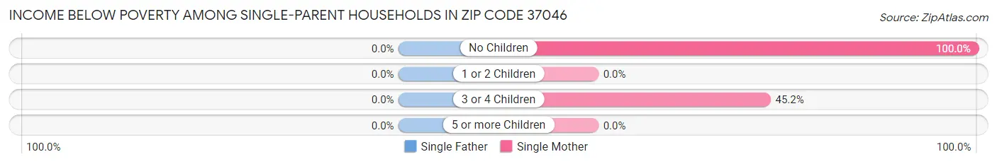 Income Below Poverty Among Single-Parent Households in Zip Code 37046
