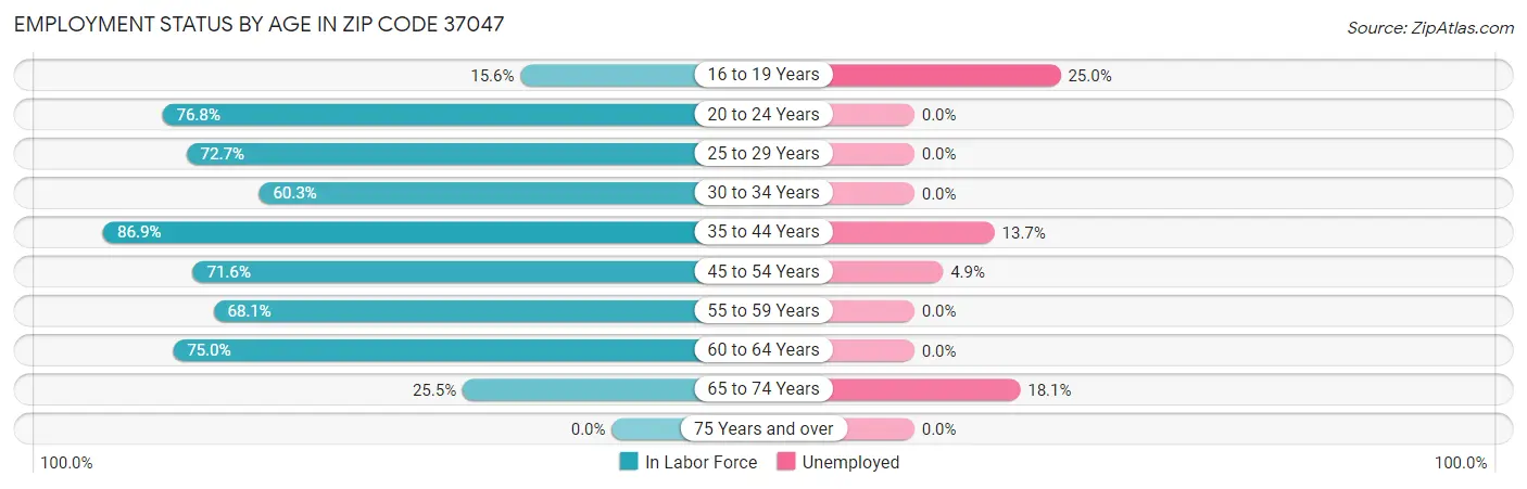 Employment Status by Age in Zip Code 37047