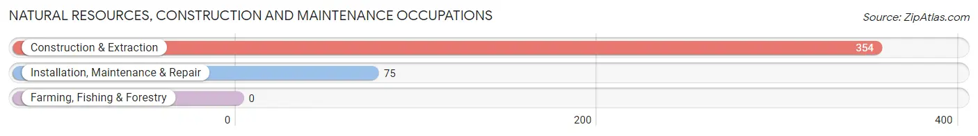 Natural Resources, Construction and Maintenance Occupations in Zip Code 37049