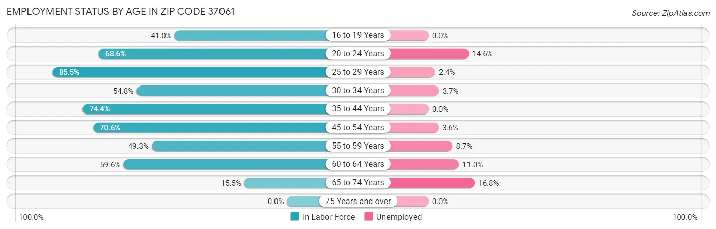 Employment Status by Age in Zip Code 37061