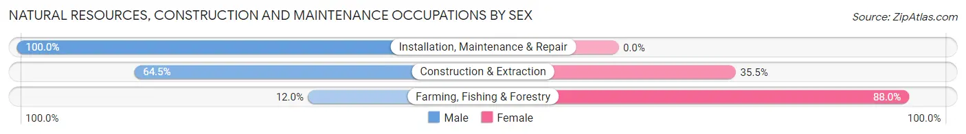 Natural Resources, Construction and Maintenance Occupations by Sex in Zip Code 37061
