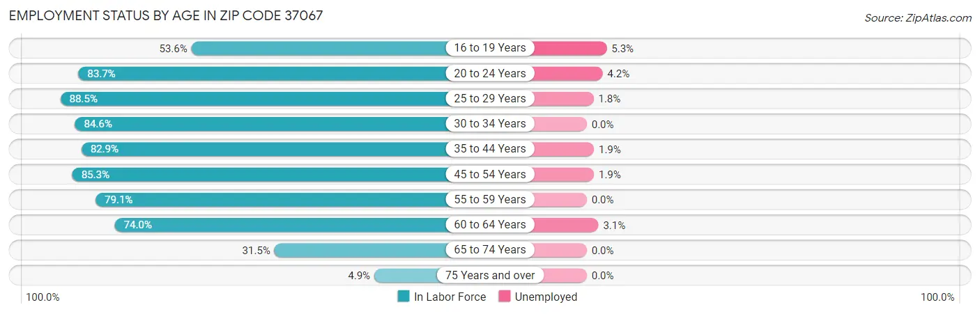 Employment Status by Age in Zip Code 37067