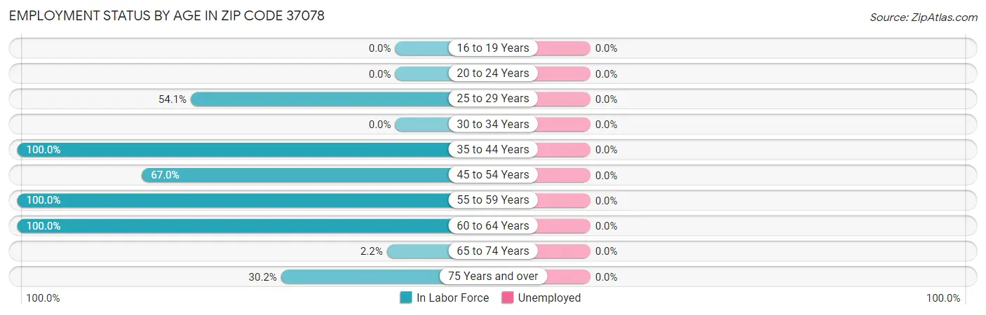 Employment Status by Age in Zip Code 37078