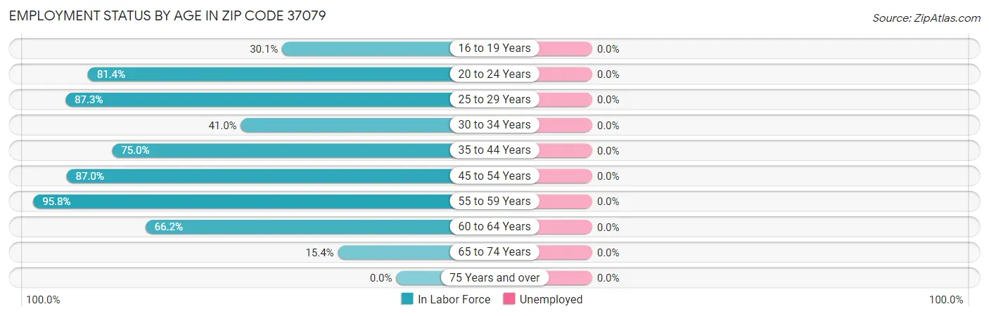 Employment Status by Age in Zip Code 37079