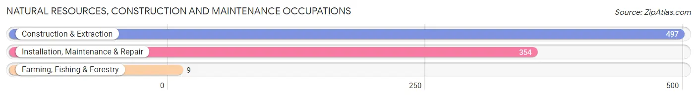 Natural Resources, Construction and Maintenance Occupations in Zip Code 37090