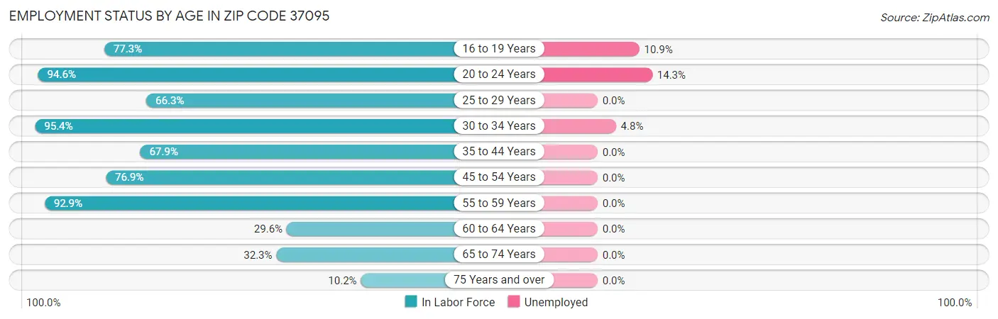 Employment Status by Age in Zip Code 37095