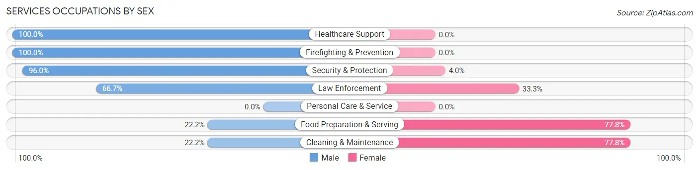 Services Occupations by Sex in Zip Code 37095