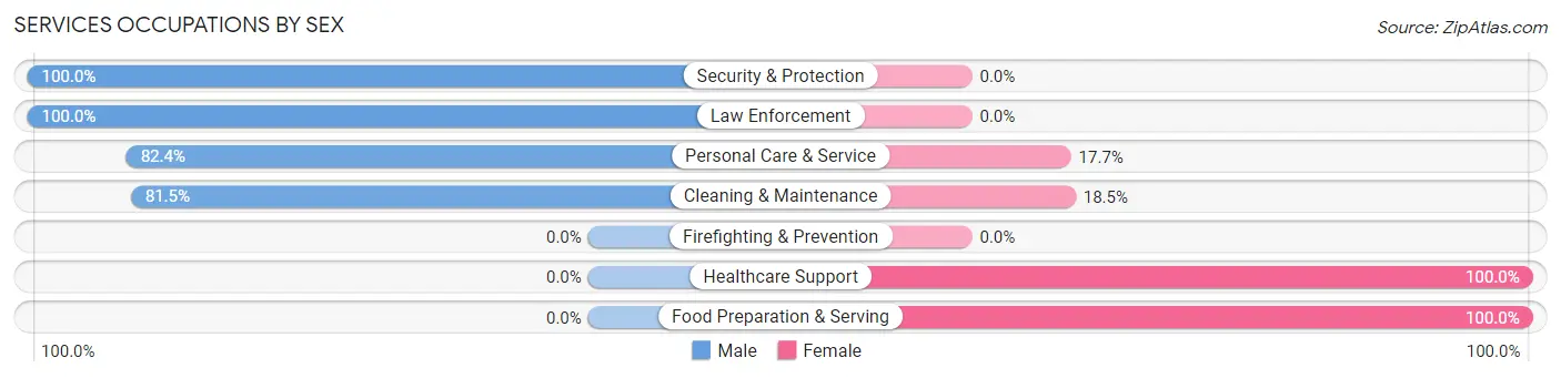 Services Occupations by Sex in Zip Code 37101