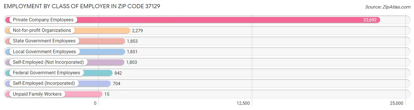 Employment by Class of Employer in Zip Code 37129