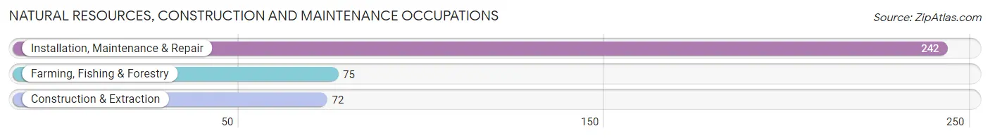 Natural Resources, Construction and Maintenance Occupations in Zip Code 37135