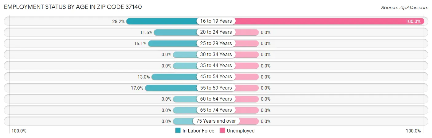 Employment Status by Age in Zip Code 37140