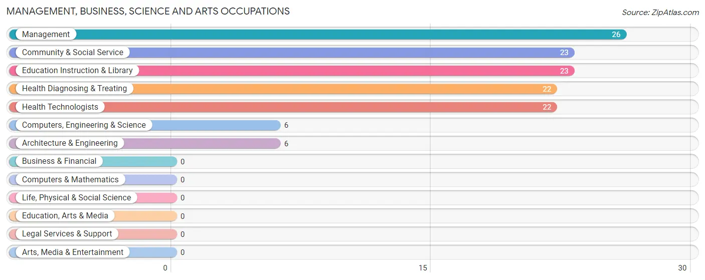 Management, Business, Science and Arts Occupations in Zip Code 37140