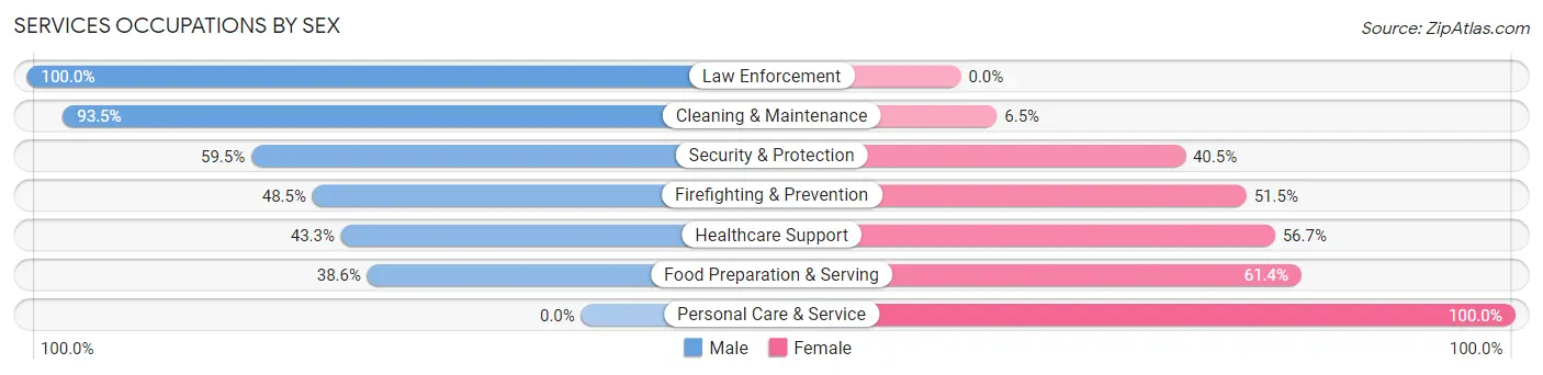 Services Occupations by Sex in Zip Code 37145