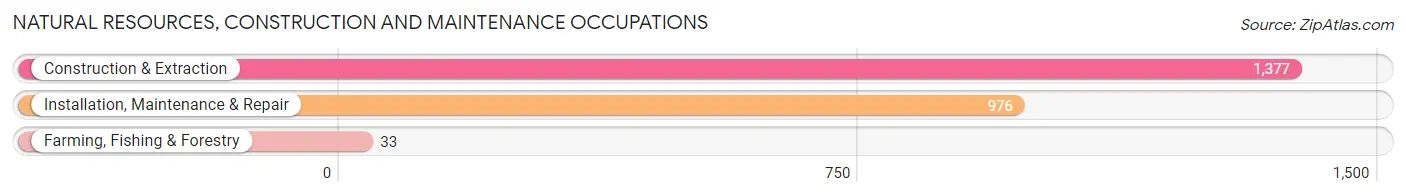 Natural Resources, Construction and Maintenance Occupations in Zip Code 37160