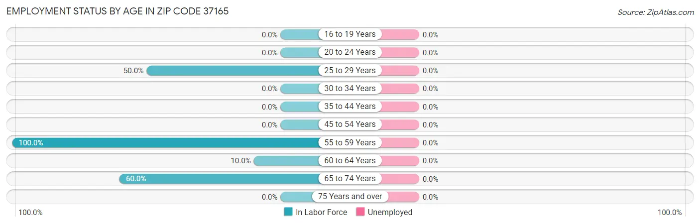 Employment Status by Age in Zip Code 37165