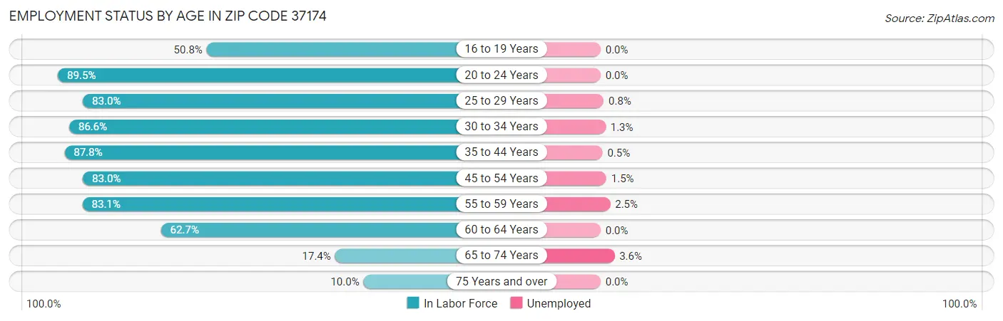 Employment Status by Age in Zip Code 37174