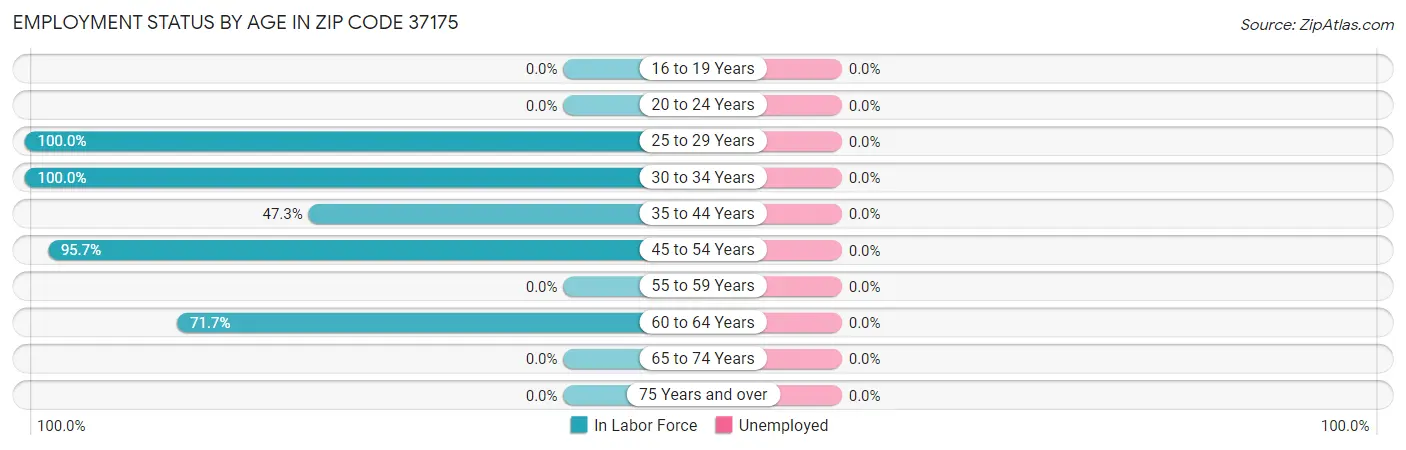 Employment Status by Age in Zip Code 37175