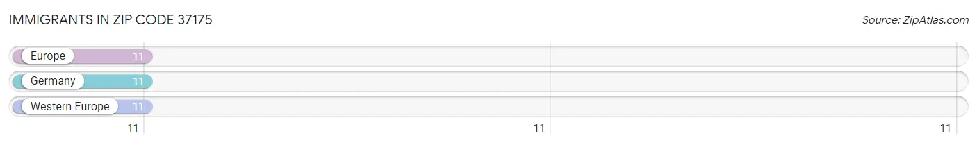 Immigrants in Zip Code 37175