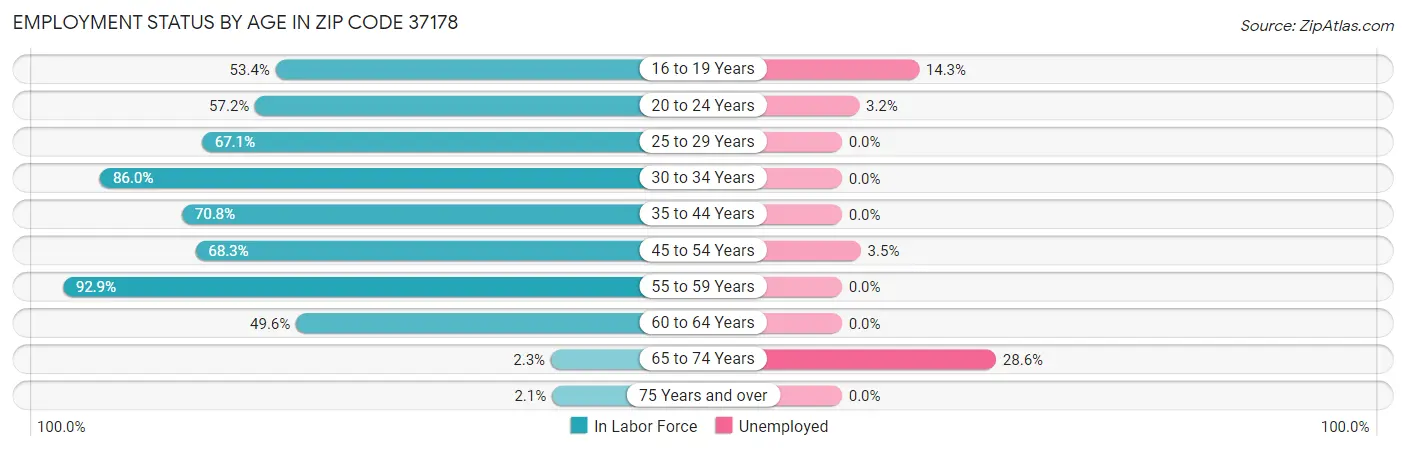 Employment Status by Age in Zip Code 37178