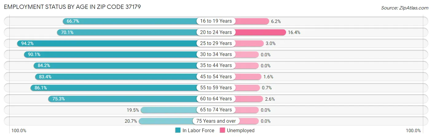 Employment Status by Age in Zip Code 37179